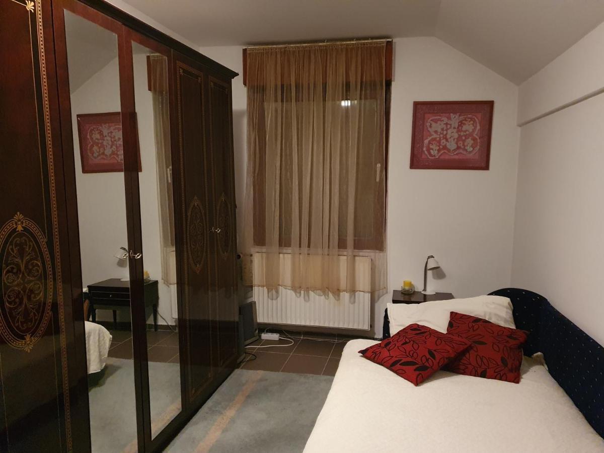 Country house Moj Salas Novi Sad