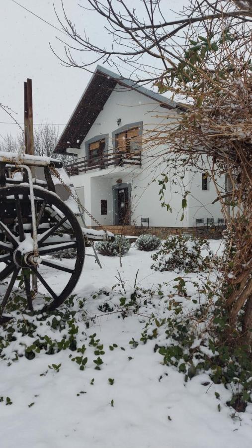 Country house Moj Salas Novi Sad